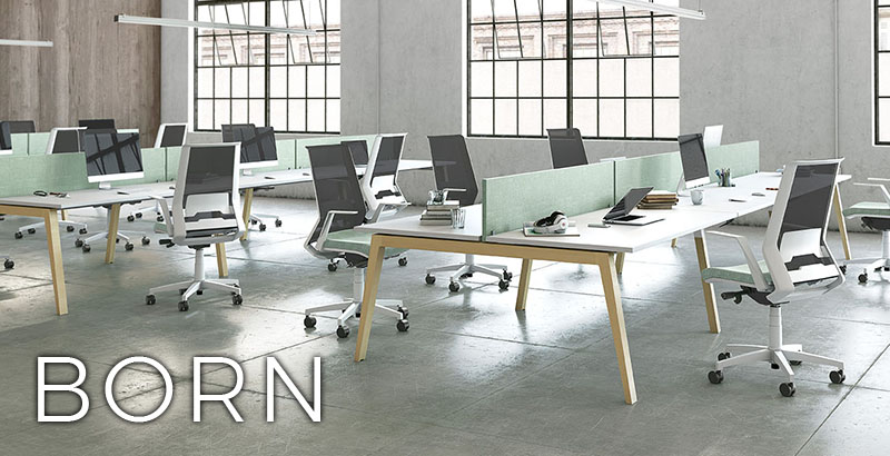 NOUVELLE SÉRIE "BORN"}