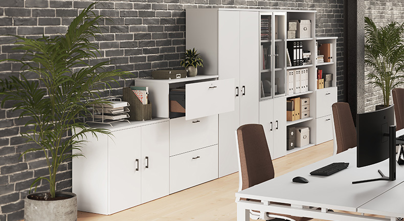 imagen-serie-055-ejemplo:0