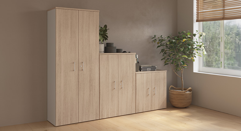 imagen-serie-055-ejemplo:3