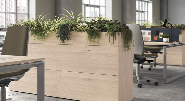 imagen-serie-055-ejemplo:4