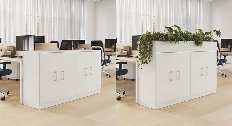 imagen-serie-055-ejemplo:5