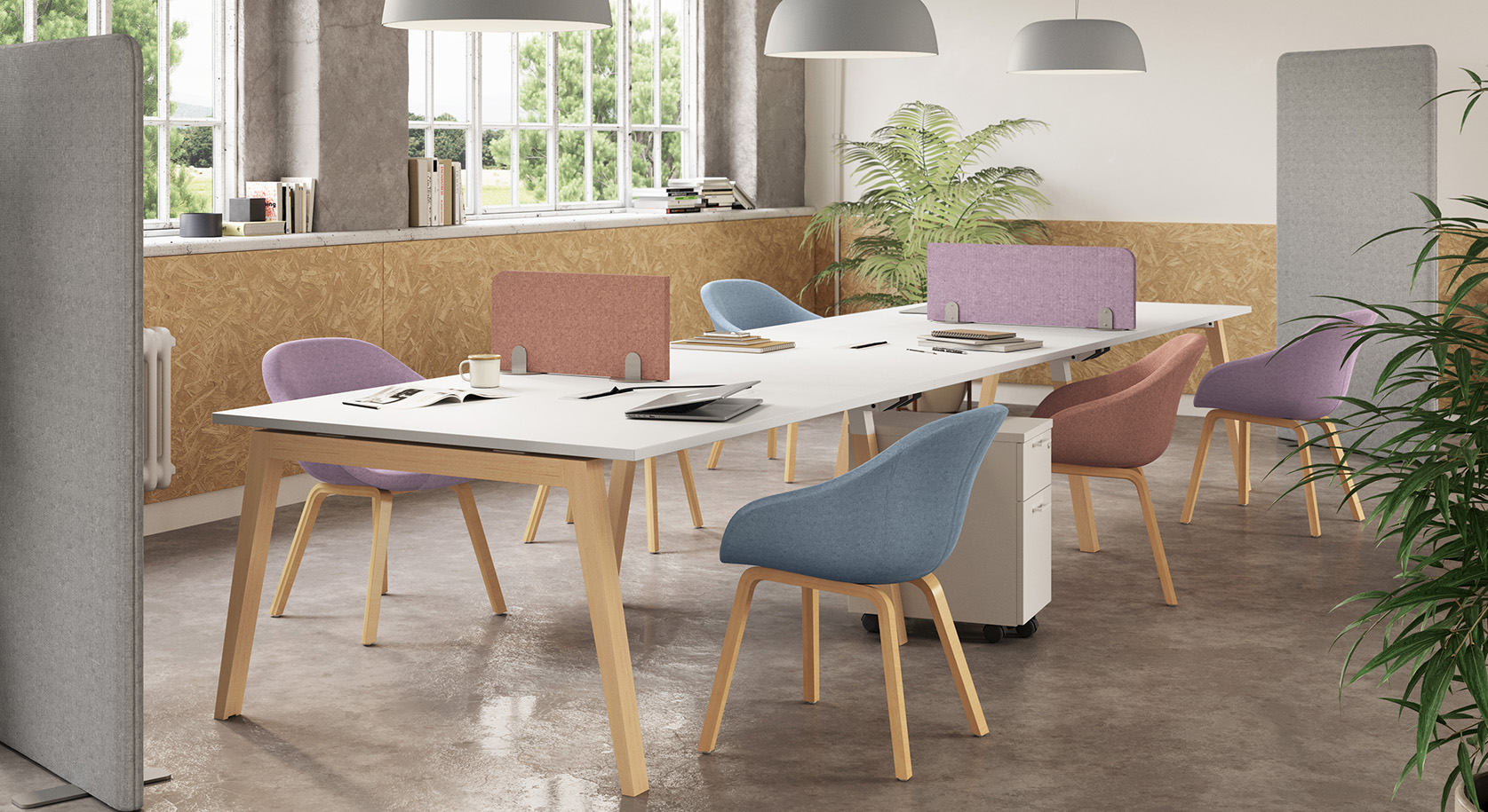 imatge-série-066-example:6