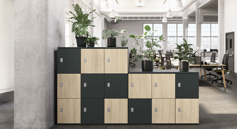 image-serie-068-example:3