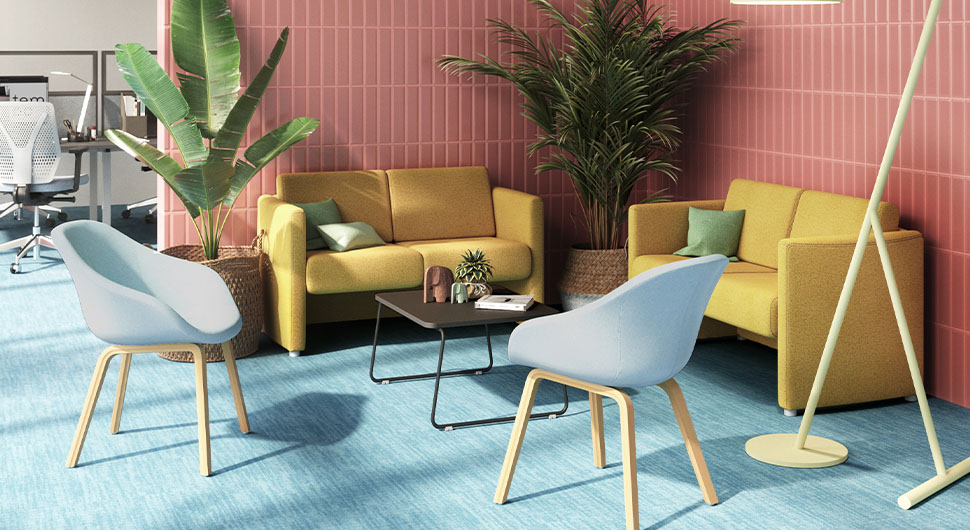 imatge-sèrie-375-exemple:3