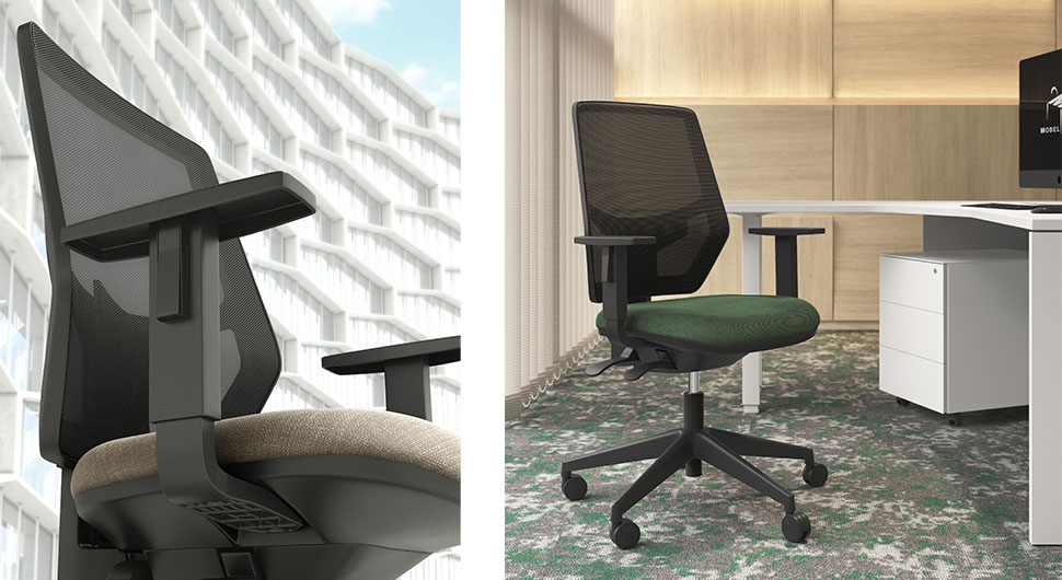 imatge-série-405-example:1