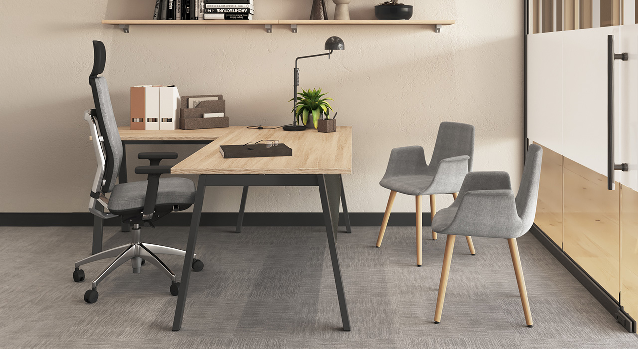 imatge-sèrie-425-exemple:4