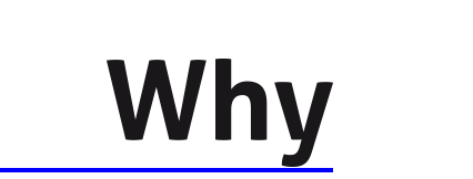 logo serie WHY