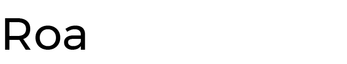 logo serie ROA
