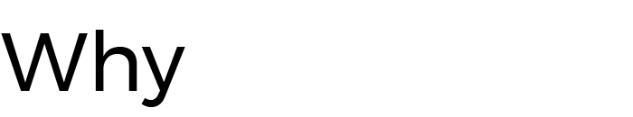 logo serie WHY
