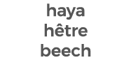haya h tre beech