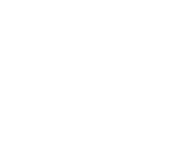  ES El usuario executive ocupa una posici n de liderazgo estrat gico en la organizaci n y dispone de un espacio de tr...